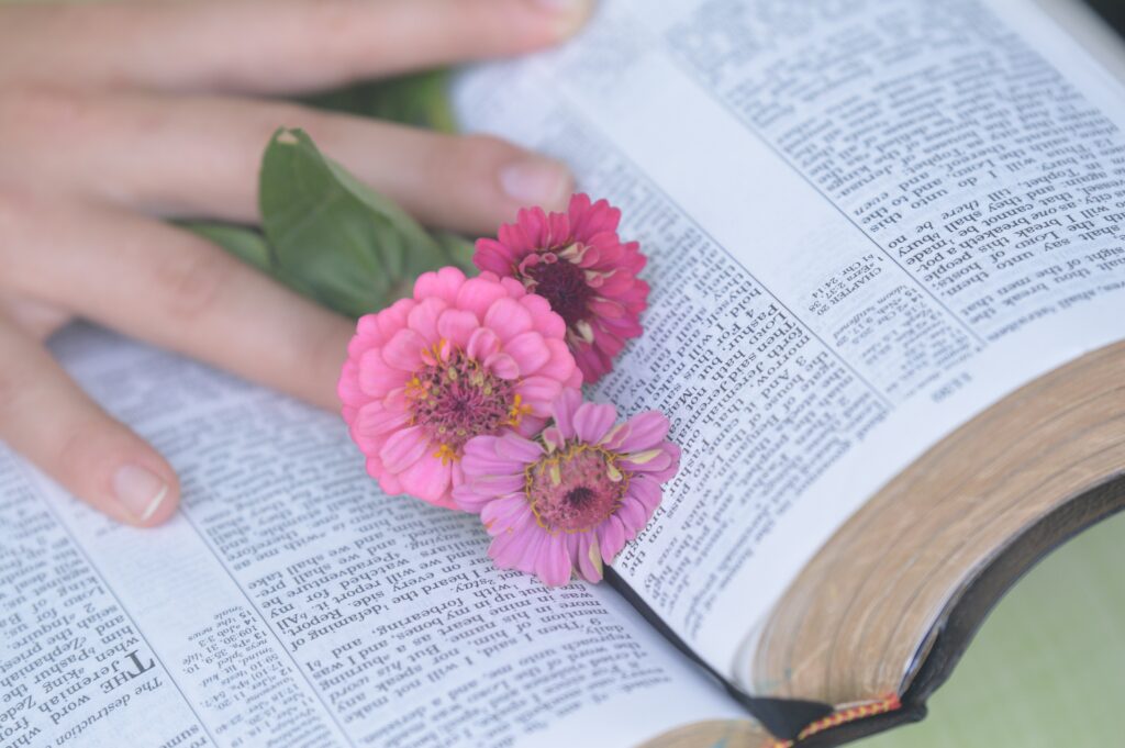 Die Bibel als Inspiration - Einladung zu Bibelgespräch und Austausch